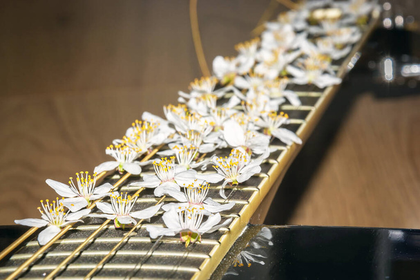 Virágok egy gitár fogólapon. Virágok hangszerrel. Tavaszi virágok - Fotó, kép