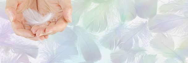Anioł pióro wiadomość szablon baner - kobieta miseczki ręce z pojedynczym białym puszystym piórem na szerokim pastelowym tle kolorowe losowe pióra idealne na bon podarunkowy, kupon, reklama duchowe tło - Zdjęcie, obraz