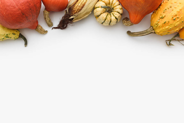 Carte d'automne avec bordure de citrouilles et gourdes décoratives sur fond blanc avec espace de copie pour le texte - Photo, image