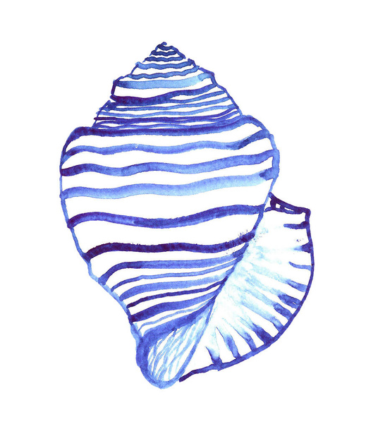 Mano de mar dibujado malyuska antiguo remolino cáscara. - Foto, Imagen