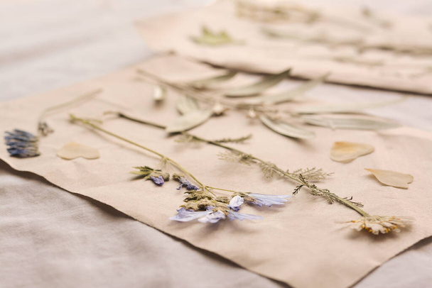 Sheets of paper with dried flowers and leaves on white fabric, closeup - Φωτογραφία, εικόνα