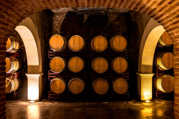cantina della metropolitana. Barili di quercia con vino di alta qualità in Spagna. - Foto, immagini