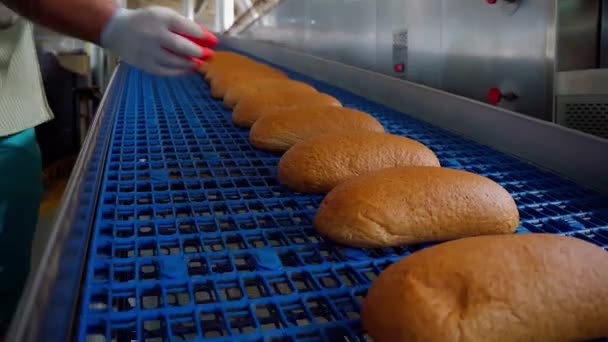 Panadería panadería fábrica de alimentos. Panes en el transportador. Imágenes de alta calidad 4k - Metraje, vídeo