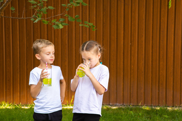 Poika ja tyttö puutarhassa nurmikolla juomassa vihreää cocktailia. Aurinkoisena kesäpäivänä tyttö ja kuusivuotias poika (eurooppalainen ulkonäkö) rentoutuvat puutarhassa ja juovat vihreää mehua.. - Valokuva, kuva