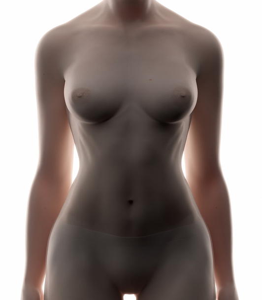 Weiblicher Bauch - Foto, Bild