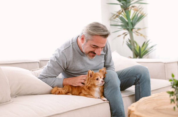 Portrait of Handsome man sitting on couch and petting and rubbing his chihuahua dog sit besides in living room at home. Loving affection relationship bond between owner and pet. Friendly Concept - Foto, Imagem
