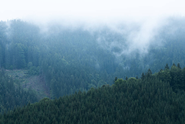 ボヘミアの東で最高の神秘的な雰囲気の霧の山と森の風景. - 写真・画像