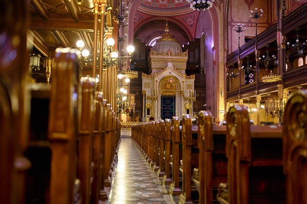 Synagoga v Budapešti - Fotografie, Obrázek
