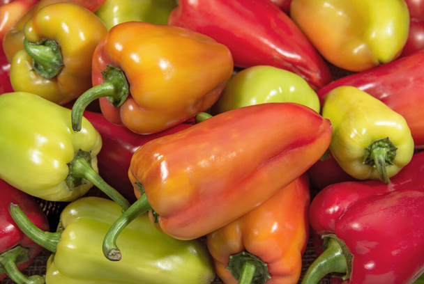 Ripe sweet pepper of different colors. Vegetables and fruits - Photo, Image