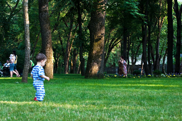 The child goes on a grass - 写真・画像