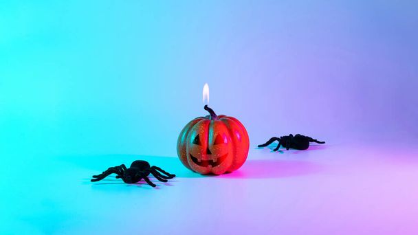 Halloween banner. Scary spooky pumpkin, black night spider on night neon helloween background. Minimalistic background for autumn holidays. Space for text - 写真・画像