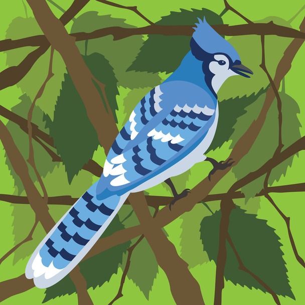 Blue Jay in a Tree - Vector, imagen