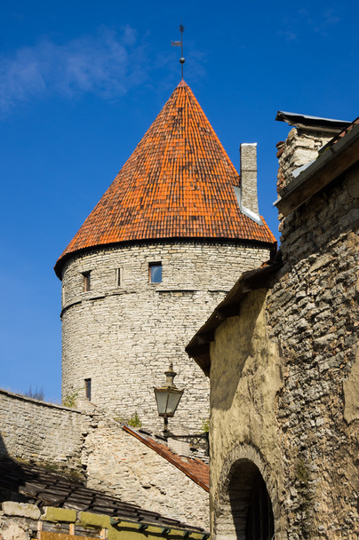 Tower of old Tallinn - Valokuva, kuva