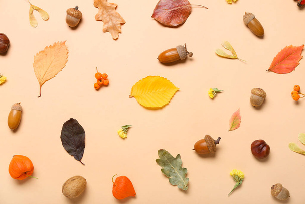 Beautiful autumn composition with acorns on color background - Photo, Image