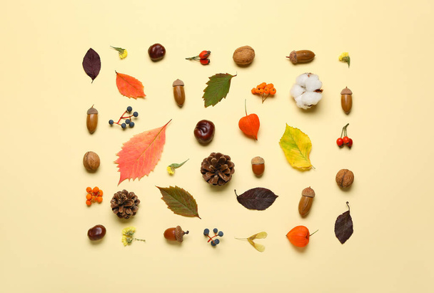Podzimní dekor lesa na pozadí barev - Fotografie, Obrázek