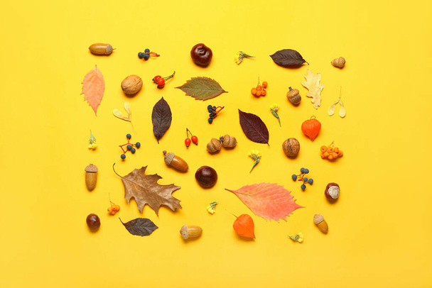Sarı arka planda doğal orman dekoru olan güzel sonbahar kompozisyonu - Fotoğraf, Görsel