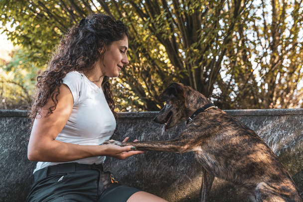 beautiful female instructor hugs her dog during a training break - concept of love for animals - Foto, afbeelding