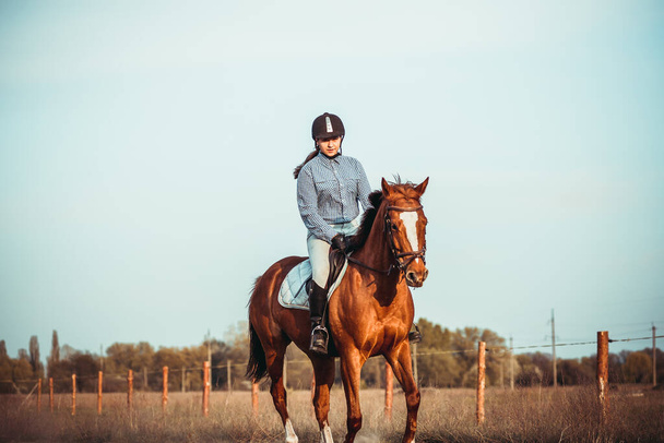 Giovane atleta cavalca un cavallo. Allenamento di salto in primavera sul campo. Passeggiata a cavallo. Parità di genere nello sport. - Foto, immagini