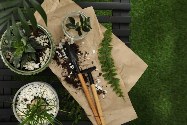 Houseplants and gardening tools on grass, flat lay - Fotoğraf, Görsel
