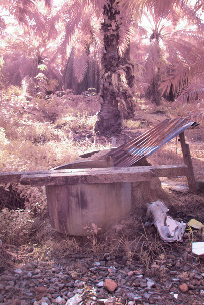 imagem infravermelha ambiental em torno da plantação de óleo de palma. - Foto, Imagem
