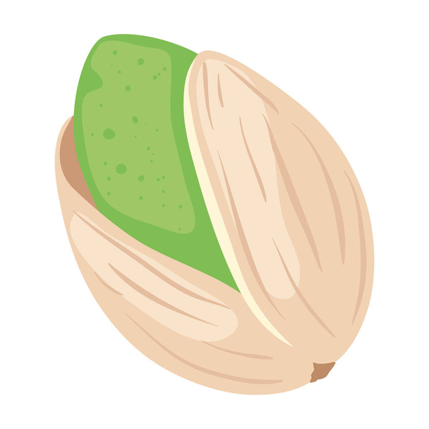 икона фисташкового ореха - Вектор,изображение