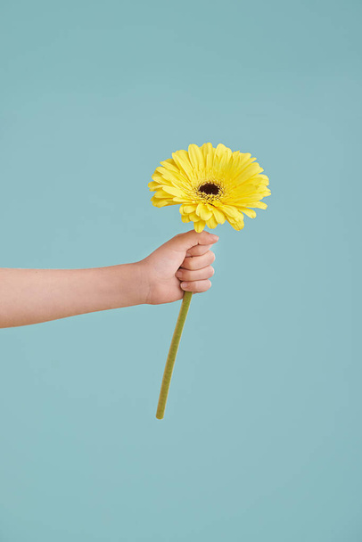 Here...its for you. A little girls hand presenting a flower while isolated - 写真・画像