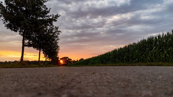 Niski kąt widzenia wiejskiej drogi pod dramatycznym, kolorowym niebem zachodu słońca. Piękne wieczorne niebo nad wiejskim krajobrazem z Country Road. Młode zielone pole pszenicy łąka i wiejska droga. Rolnictwo - Zdjęcie, obraz