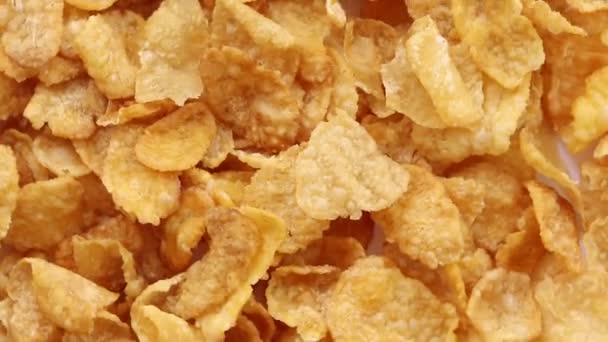 clips video cornflakes gezond voedsel voor kinderen in de gezondheidszorg eet ontbijt  - Video