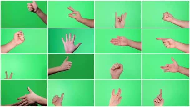 Видеоколлаж, человеческая рука показывает различные жесты на хромакее фоне. Концепция глобальной сети коммуникаций. Потоковое видео для монтажа. 4k видео - Кадры, видео