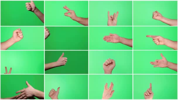 Видеоколлаж, группа мужских жестов рук, изолированных на зеленом фоне, многоэкранное концептуальное видео. Коллаж видеоклипов с изображением рук. Высококачественное 4k видео - Кадры, видео