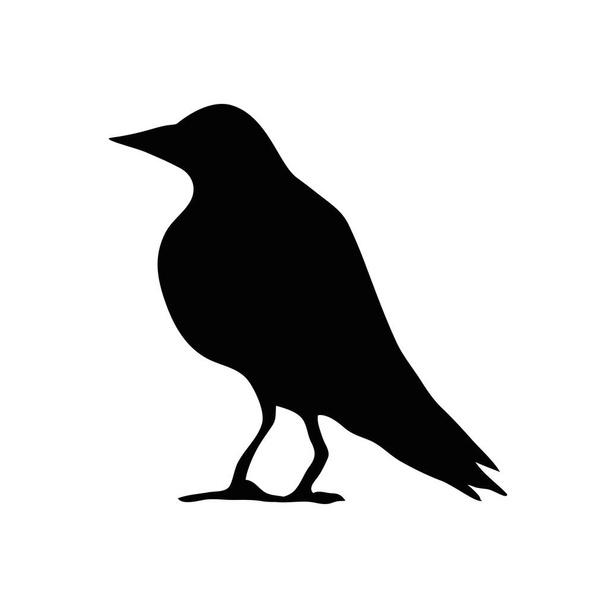 icona stile corvo uccello silhouette - Vettoriali, immagini