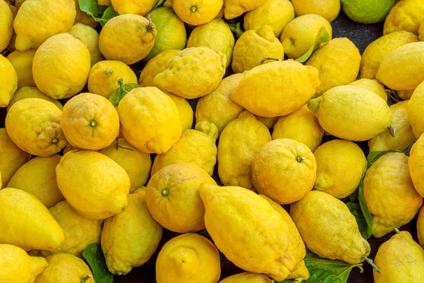 Täysi runko laukausta osoittaa paljon kypsiä orgaanisia keltaisia sitruunoita - Valokuva, kuva