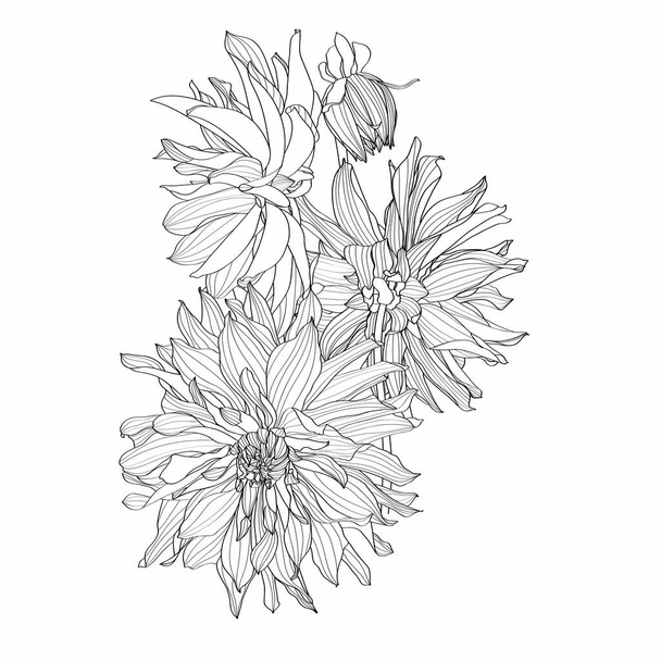 Ramo de flores en línea negra aislado sobre fondo blanco. Elementos florales en estilo de contorno con flor de Dahlia para el diseño de verano y libro para colorear
. - Vector, imagen