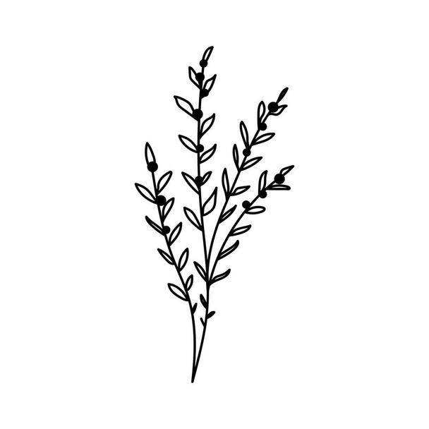 Illustration of a flower, silhouette of a twig with flowers and leaves. Vector illustration. Floral print. - Διάνυσμα, εικόνα