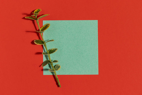 Tarjeta de felicitación verde con una rama de planta sobre fondo rojo. Redacción plana minimalista. - Foto, Imagen