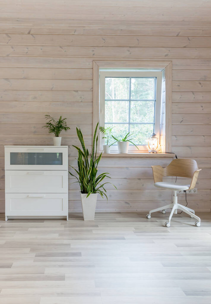 Stilvolles skandinavisches Wohnzimmer oder Schlafzimmer mit Designermöbeln, Pflanzen, Kommode und Stuhl. Hölzerne Lichtveredelung von Wänden und Fußböden. Japanischer Stil - Foto, Bild