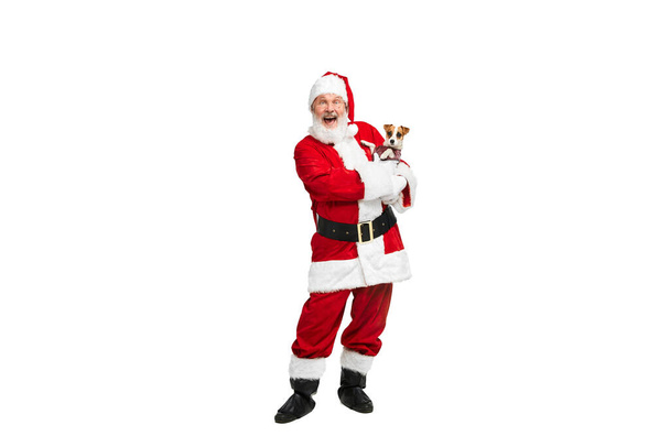 Portrait of senior man in image of Santa Clausposing with dog isolated over white background. Concept of fictional character, holiday, New Year, Christmas. Copy space for ad - Photo, Image