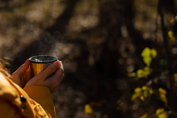 A woman holds a thermos of hot tea in her hands on a cold autumn day - Φωτογραφία, εικόνα
