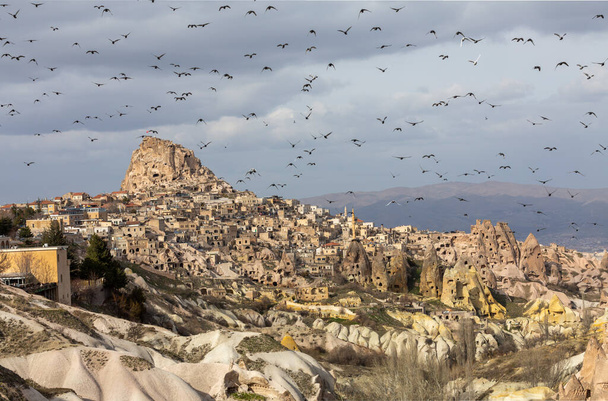 Cappadocia Pigeon Valley, όπου τα περιστέρια περιηγούνται στην κοιλάδα όλη την ώρα το πρωί. - Φωτογραφία, εικόνα