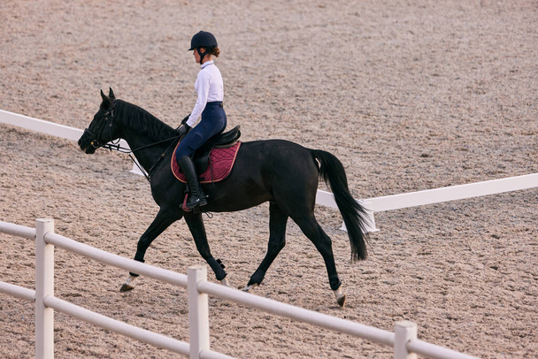 Female rider on horseback riding trot around the sandy arena in countryside, in summer day, outdoors. Dressage of horses. Horseback riding. Concept of sport, grace, ad, active lifestyle - Photo, image