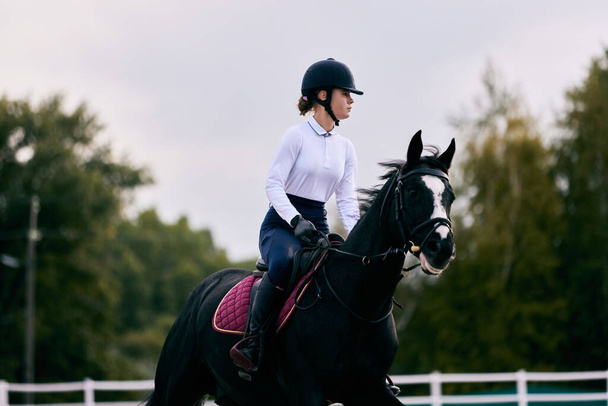 Sports training. Young sportive girl, professional rider in sports uniform and helmet practicing at riding arena in summer day, outdoors. Dressage of horses. Horseback riding. Concept of sport, grace - 写真・画像