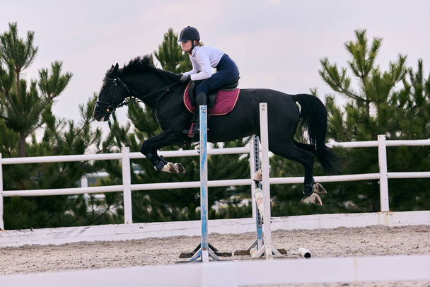 Jump over barrier. Portrait of young woman, female rider training at riding arena in summer day, outdoors. Dressage of horses. Horseback riding. Concept of sport, grace, ad, active lifestyle - Foto, Imagen