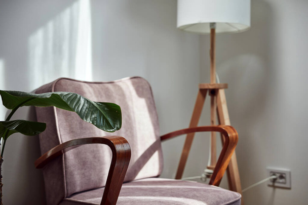 Vintage fauteuil met plant en een lamp. - Foto, afbeelding