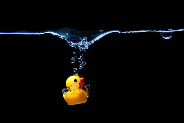 Toy duck splashing in water isolated on black background. - 写真・画像