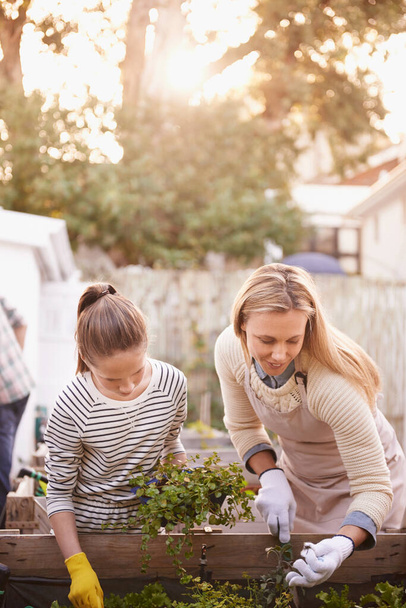 Shes a natural at gardening. a family gardening together in their backyard - Photo, Image