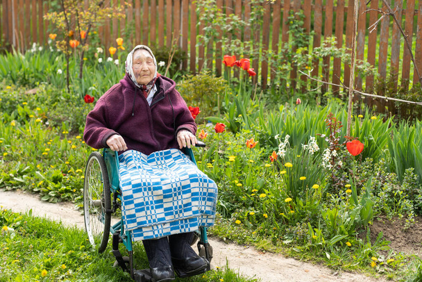Η γριά κάθεται σε αναπηρική καρέκλα και δείχνει λυπημένη και ανήσυχη. κατάθλιψη, υγειονομική περίθαλψη και φροντίδα των ηλικιωμένων. - Φωτογραφία, εικόνα