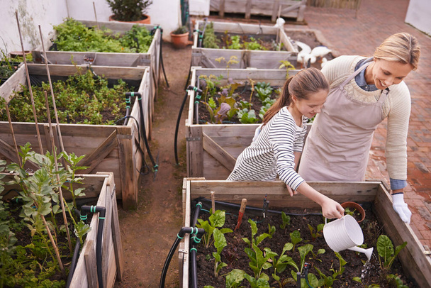 Healthy living through organic gardening. a family gardening together - Photo, Image