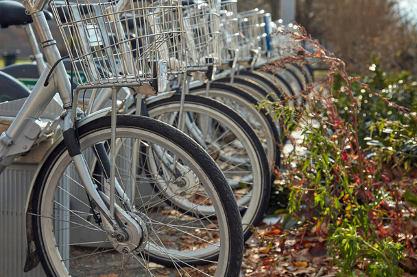 Vélos - système de partage dans la rue. Manière populaire de promouvoir le sport et les énergies propres
. - Photo, image