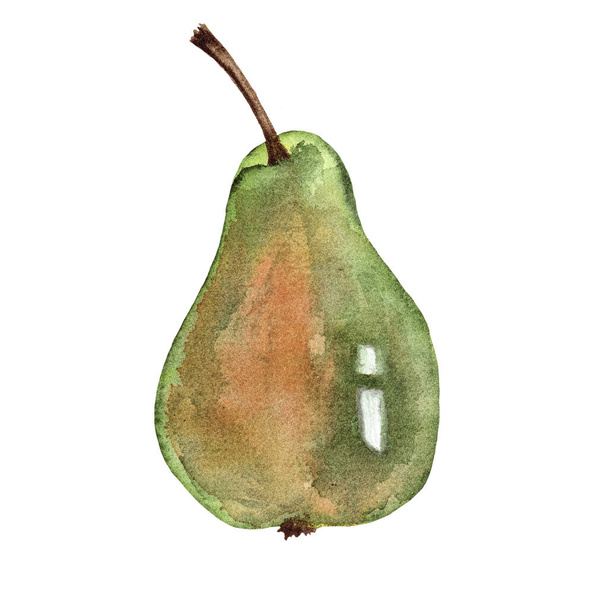 watercolor green pear for design isolated on white background, fresh ripe pear watercolor sketch. - Photo, Image