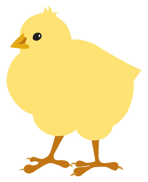 A plump, yellow, fuzzy flat vector cartoon chick - Vecteur, image